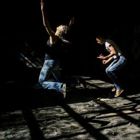 Les Âmes Fauves